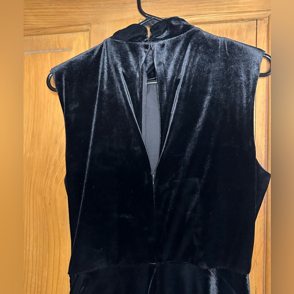Anthropologie Ronny Kobo Billie Velvet Dress - Picture 7 of 10